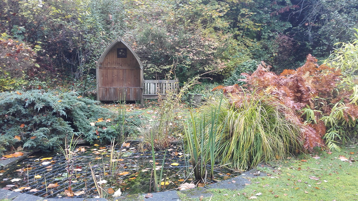 Garden Pond
