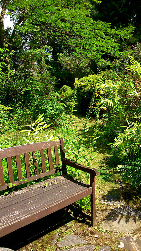 Garden Bench