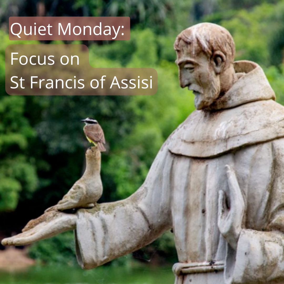 Focus on St Francis of Assisi