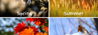 spring summer autumn winter seasons