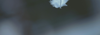 A feather falling into an open hand