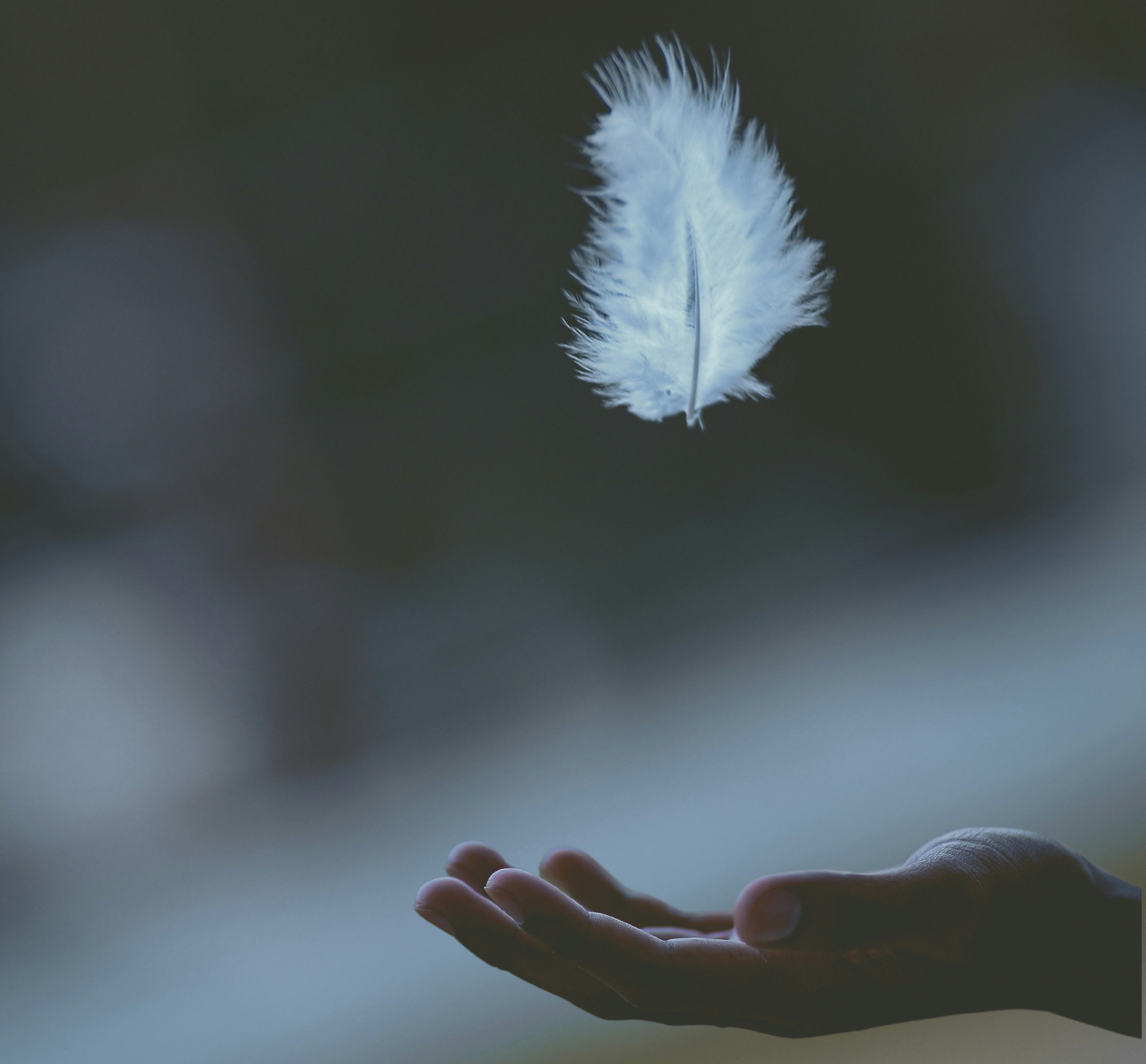 A feather falling into an open hand